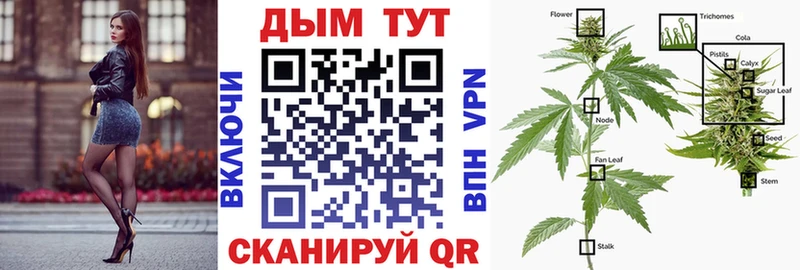Лсд 25 Клинцы