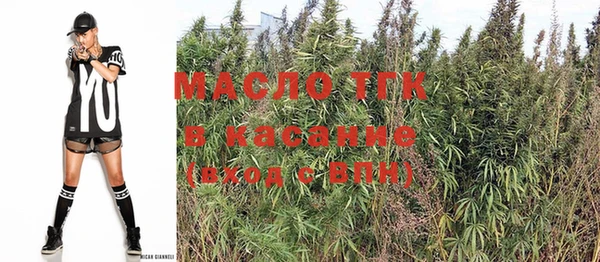 молекула духа Верхний Тагил